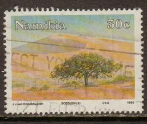 Namibia   #734  used  (1993)  c.v. $0.40