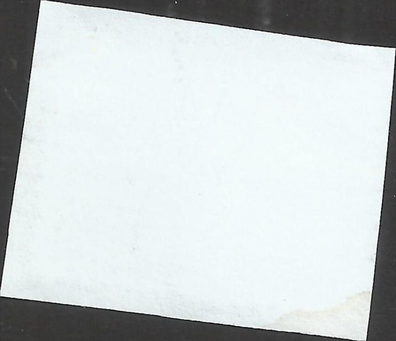 # 5458 Used Garden Corsage