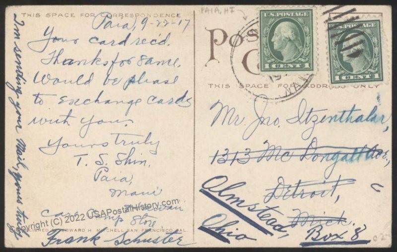 Hawaii USA 1917 PAIA Used Postcard Territory Territorial Cover 109061
