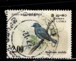 Sri Lanka #693 Birds - Dusky Blue Flycatcher - Used