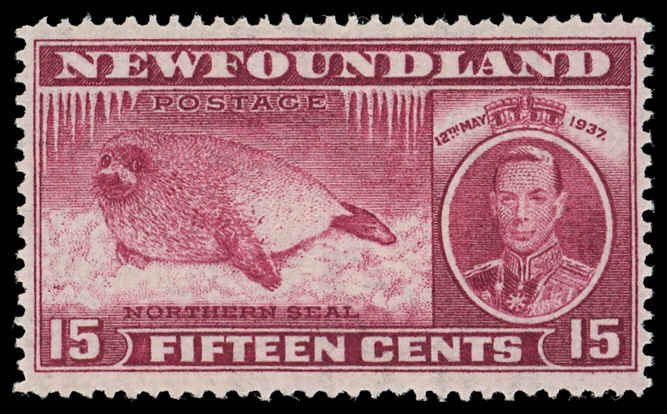 NEWFOUNDLAND Sc 239 F-VF/MNH - 1937 15¢ KGVI & Northern Seal