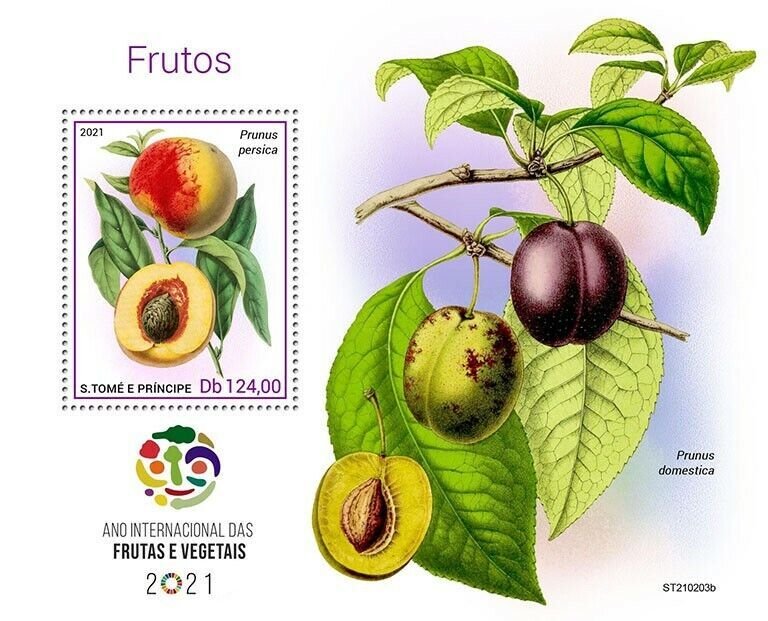 Sao Tome & Principe 2021 MNH Fruits Stamps Intl Year of Fruit & Vegetables 1v SS