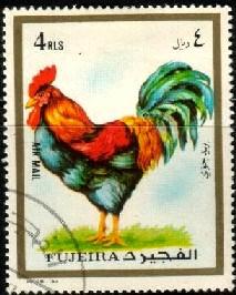 Cock, Fujeira stamp used