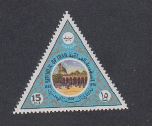 Iraq - 1969 - SC 488A - NH