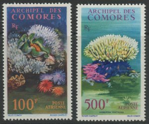 Comoro Islands C5-6 * mint hinged undersea coral (2401 48)