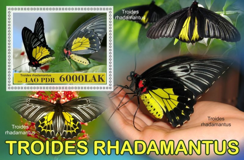 Stamps.Fauna, Butterflies  2024 year 8 sheets perforated