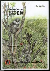 Sri Lanka Wild Life Monkey Mammal Animal  Mountain Forest National Park M/s MNH