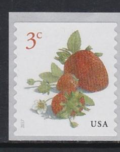 5201 Strawberries MNH