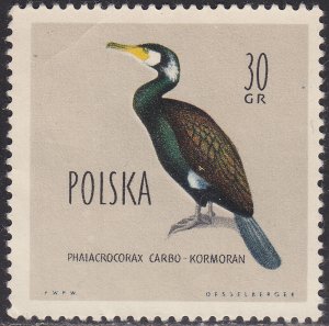 Poland 937 Great Cormorant 30GR 1960
