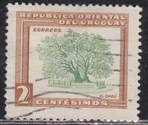 Uruguay 607 Ombu Tree 1954