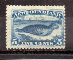 Newfoundland 55 MH