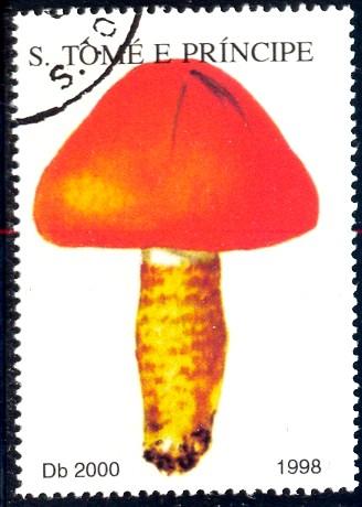 Mushroom, St. Thomas and Prince Islands stamp Used