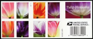 5786b, Counterfeit Booklet Pane of 20 Tulip Blossoms - Stuart Katz