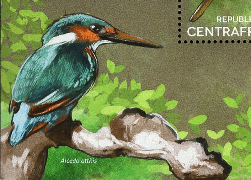 Kingfishers Stamp Birds Megaceryle Alcyon Syma Torotoro S/S MNH #5185-5188