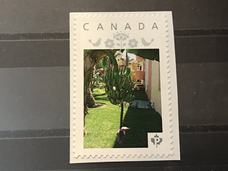 Canada Post Picture Postage Mint NH *Banana Tree  *P* denomination