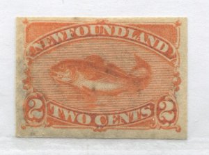 Newfoundland QV 1887 2 cents IMPERF mint no gum