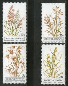 Bophuthatswana 1981 Grasses Flower Trees Plants Flora Sc 80-83 MNH # 3252