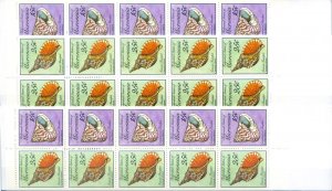 Definitive. 1989 Shells.