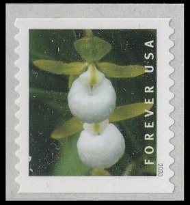 US 5440 Wild Orchids Cypripedium californicum F coil single MNH 2020