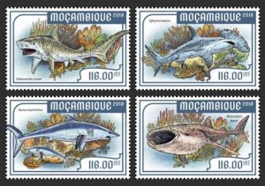 Mozambique - 2018 Sharks on Stamps - Set of 4 Stamps - MOZ18216a