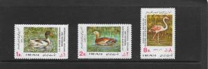 BIRDS - IRAN #1582-84