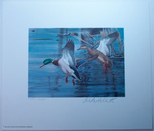 North Carolina 1983 Waterflow Conservation Stamp Signed Artwork Ducks Limited