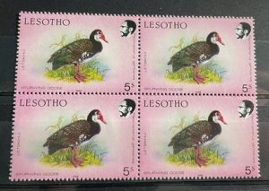 (973) LESOTHO 1988 : Sc# 620 BIRDS SPURWING GOOSE - MNH VF BLOCK OF 4