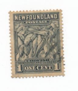 Newfoundland 1932 - Scott 184 used - 1c, Codfish