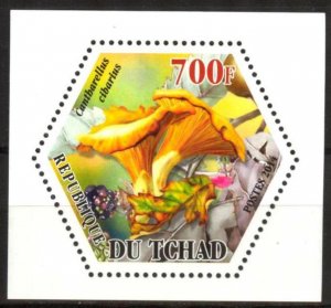 Chad 2014 Mushrooms (1) MNH Cinderella !