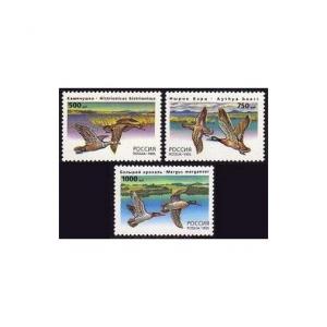 Russia 6284-6286,6286a sheet,MNH.Michel 462-464, klb. Ducks-1995.Histrionicus