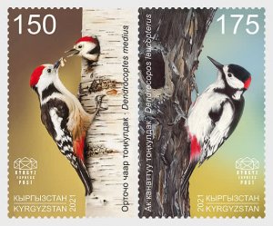 2021 Kyrgyzstan Express Post Woodpeckers (2) (Scott NA) MNH