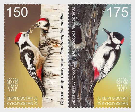 2021 Kyrgyzstan Express Post Woodpeckers (2) (Scott NA) MNH