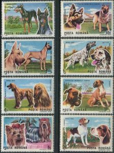 Romania 1990, Dog exposition 8v, MNH