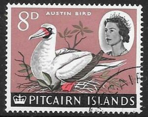 PITCAIRN ISLANDS SG42 1964 8d RED FOOTED BOOBY FINE USED