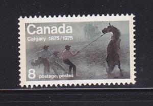 Canada 667 Set MNH Animals, Wild Horse