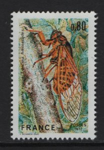 France  #1555  MNH  1977 nature protection red cicada