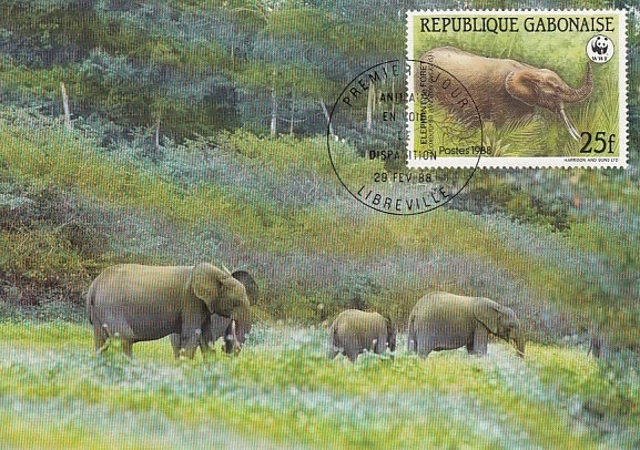 Gabon 1988 Maxicard Sc #634 25fr African forest elephant WWF