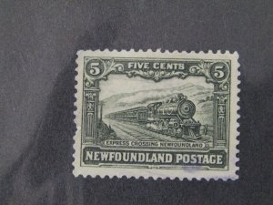 Newfoundland 167