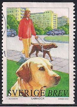 Sweden 2408c Used - Dog - Labrador Retriever