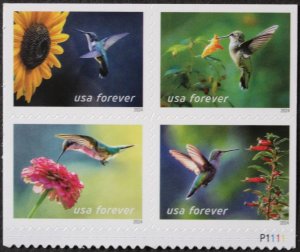 U.S.#5845-48 Garden Delights 68c, Mixed Plate Block of 4, MNH. P# P1111