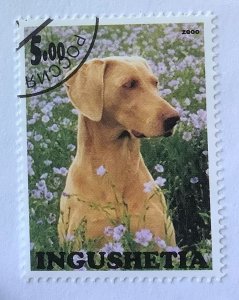 Russia, Ingushetia Illegal local Stamps 2000 - 5r, dog breed,  Ridgeback