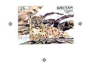 Bhutan 1990 Endangered Wildlife - Intermediate stage comp...