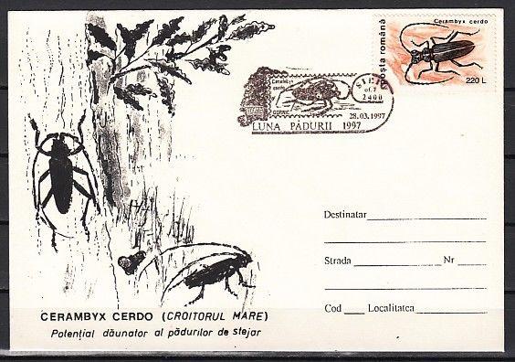 Romania, 1997 issue. 28/MAR/97 issue. Insect cancel on a Cachet cover. ^