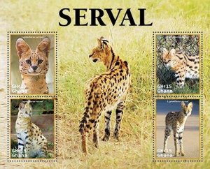 2023/02 - GHANA - SERVAL           4V    MNH **