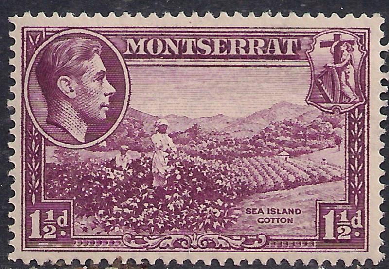 Montserrat 1938 - 48 KGV1 1 1/2d Purple MM SG 103a ( H1325 )