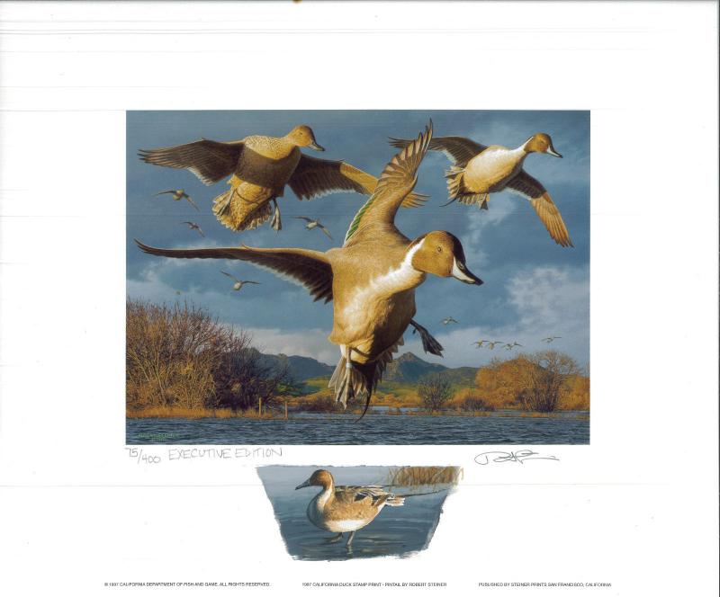 CALIFORNIA #27 1997 STATE DUCK PRINT Robert Steiner, Color Remarque #75/400