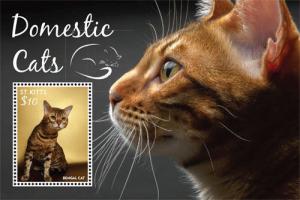 Saint Kitts 2015 - Bengal Cat - Souvenir sheet - MNH