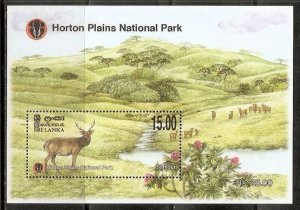 Sri Lanka  Wild Life Antelope Mammal Animal Tree Mountain Forest National Par...