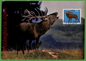 32187 - GERMANY - MAXIMUM CARD - 1966 - ANIMALS-