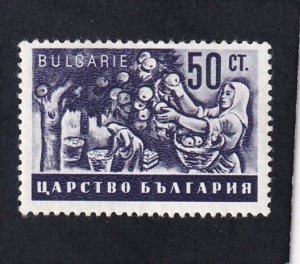Bulgaria   #   403   unused